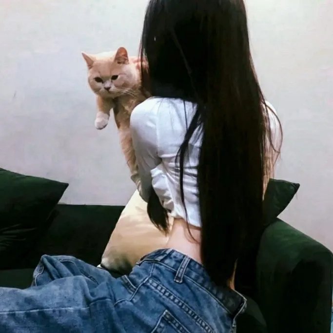 福星高照朱小八